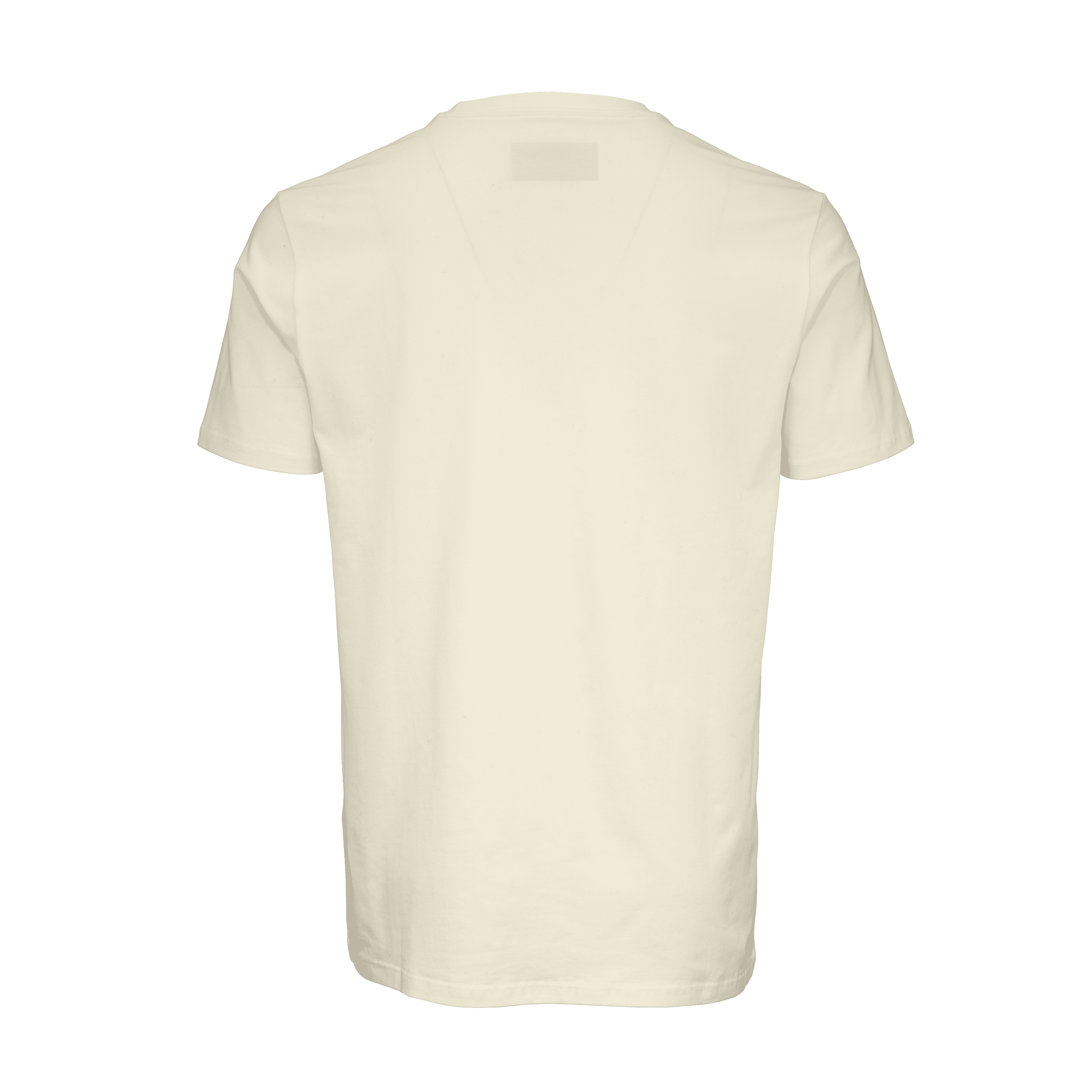 Lifestyle CCM Core SS Tee JR 